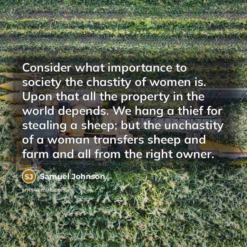 “Consider what importance to society the chastity of women is.…” quote by Samuel Johnson
