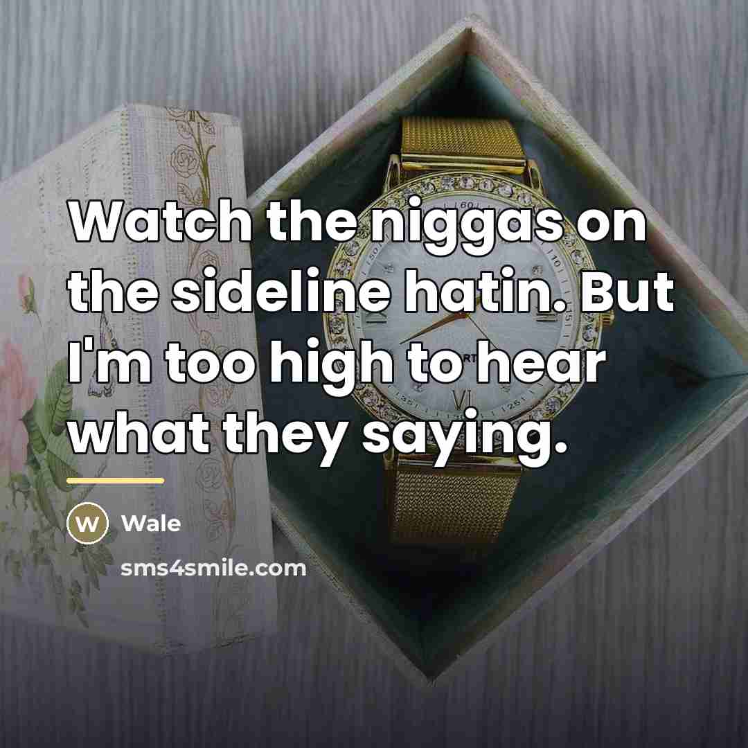 “Watch the niggas on the sideline hatin. But I'm too…” quote by Wale