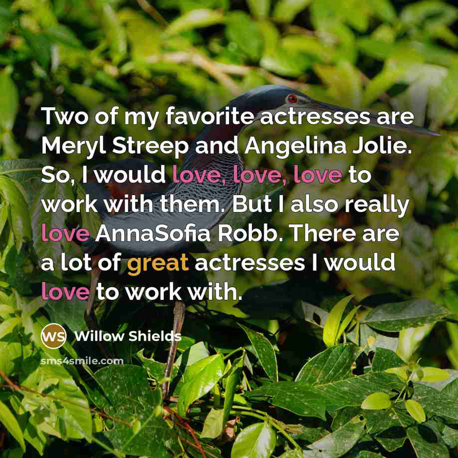 “Two of my favorite actresses are Meryl Streep and Angelina…” quote by Willow Shields
