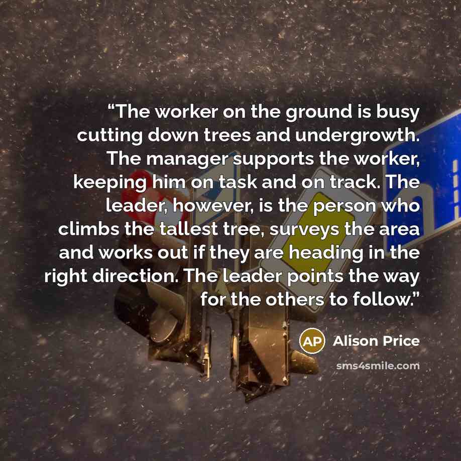 “The worker on the ground is busy cutting down trees and undergrowth. The manager supports the worker, keeping him on task and on track. The leader, however, is the person who climbs the tallest tree, surveys the area and works out if they are heading in the right direction. The leader points the…” quote by Alison Price