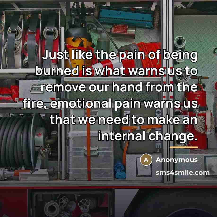 “Just like the pain of being burned is what warns…” quote by Anonymous
