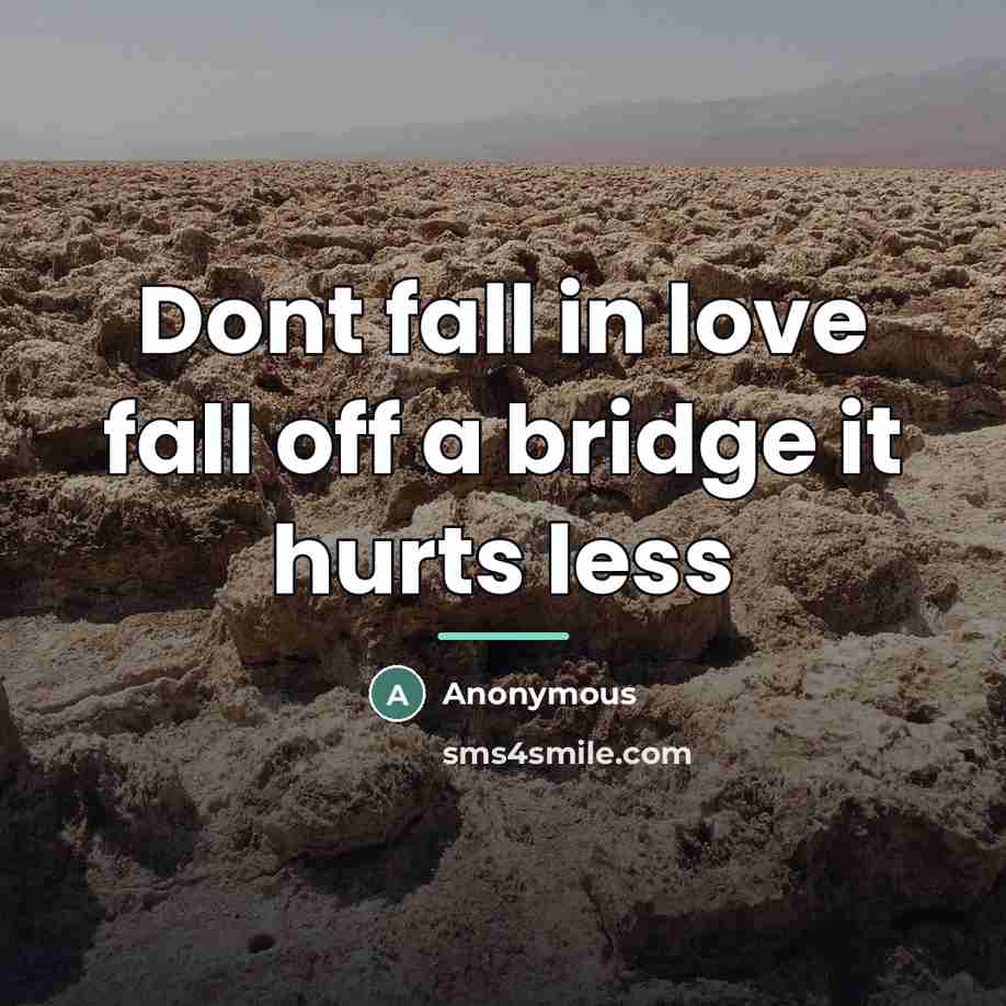 “Dont fall in love fall off a bridge it hurts…” quote by Anonymous