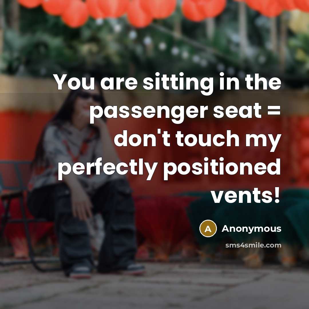 “You are sitting in the passenger seat = don't touch…” quote by Anonymous