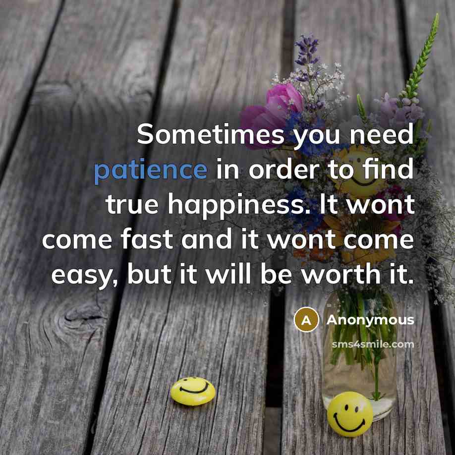 “Sometimes you need patience in order to find true happiness.…” quote by Anonymous