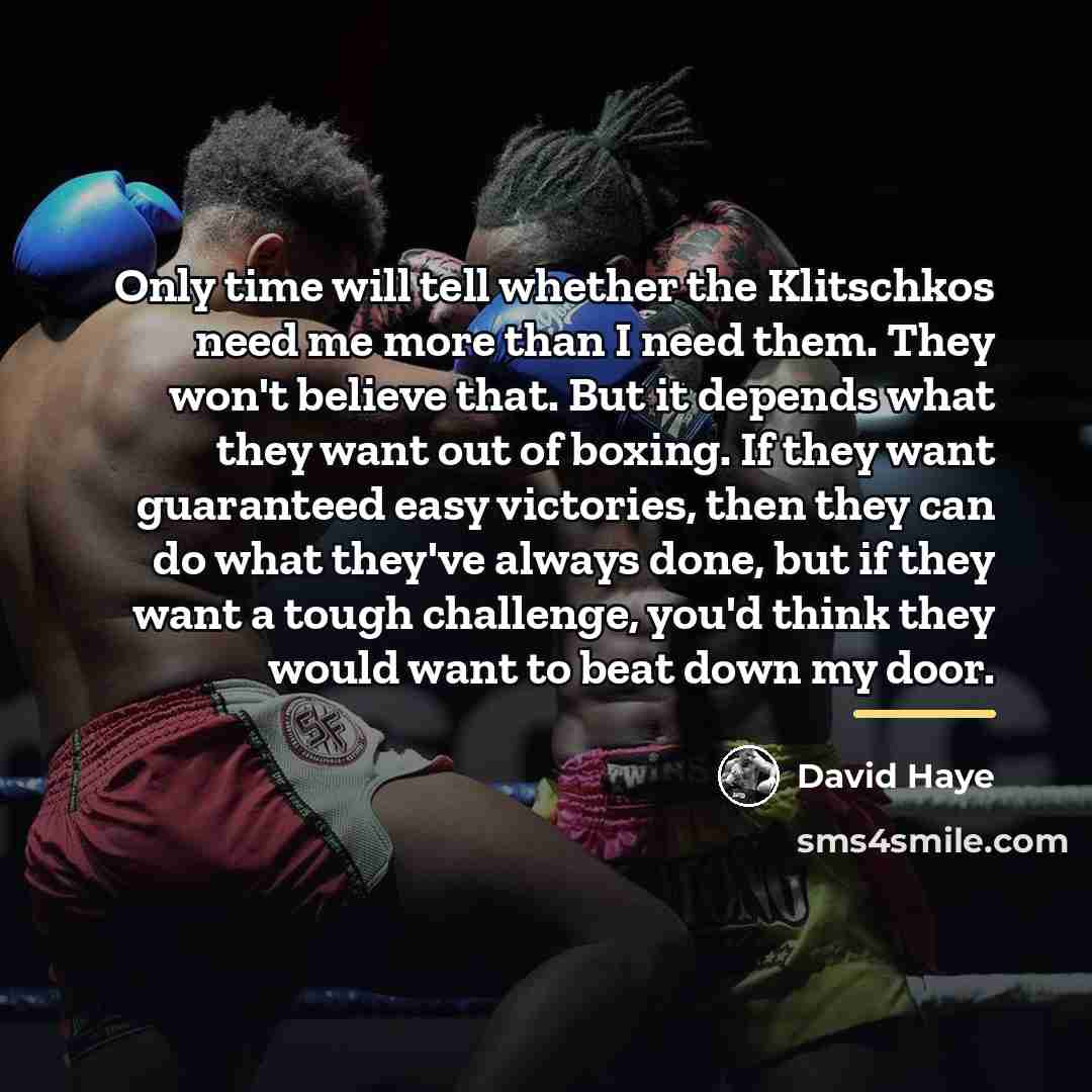 “Only time will tell whether the Klitschkos need me more…” quote by David Haye