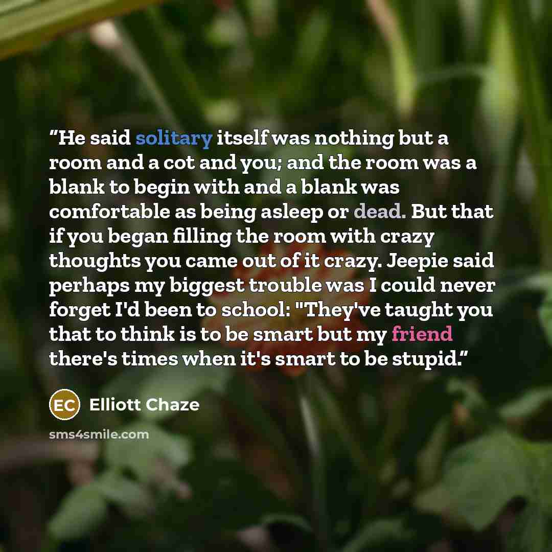 “He said solitary itself was nothing but a room and a cot and you; and the room was a blank to begin with and a blank was comfortable as being asleep or dead. But that if you began filling the room with crazy thoughts you came out of it crazy. Jeepie said perhaps my biggest trouble was I could…” quote by Elliott Chaze