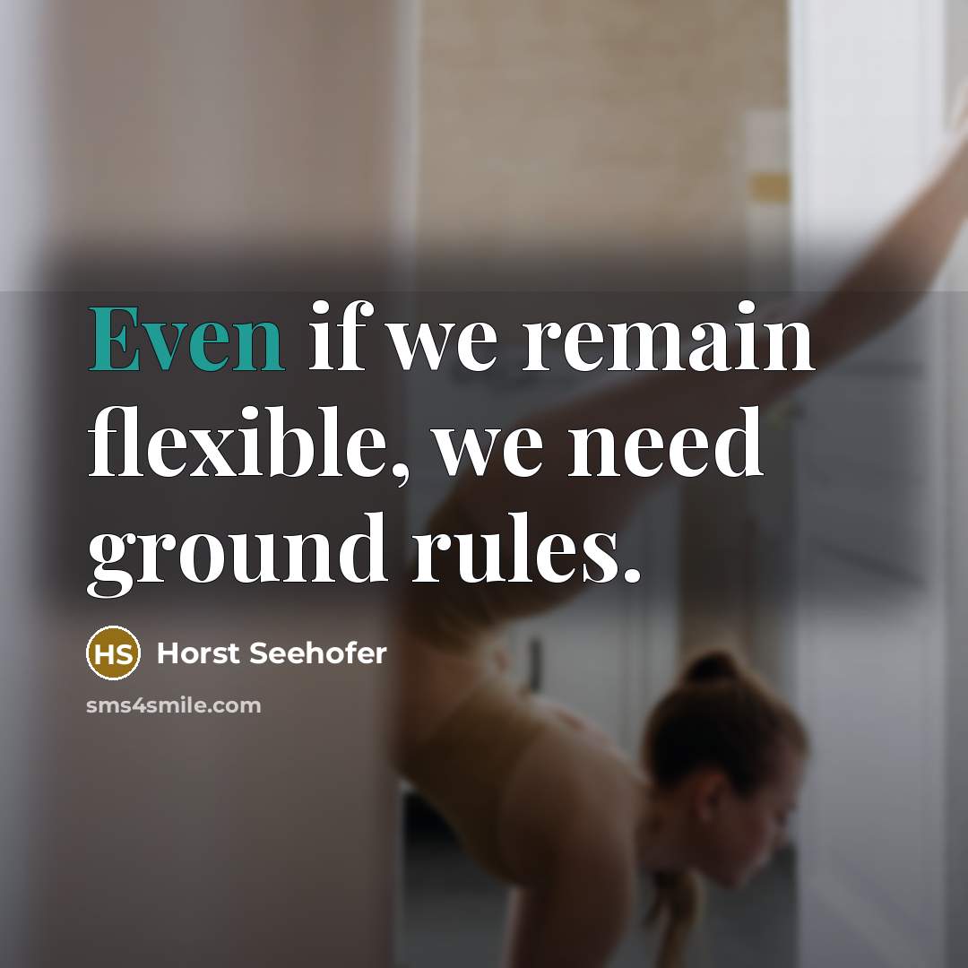 “Even if we remain flexible, we need ground rules.…” quote by Horst Seehofer