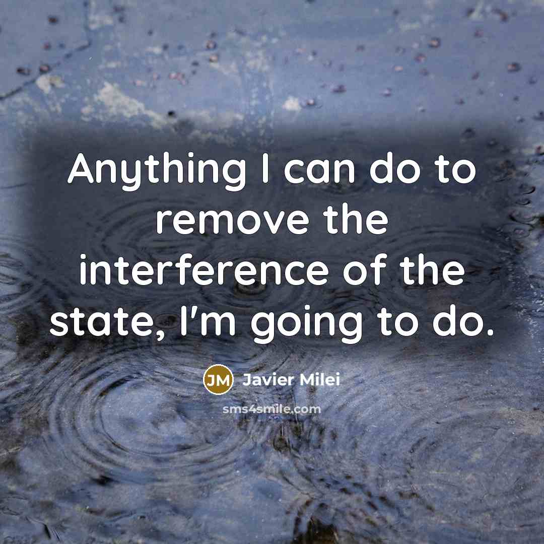 “Anything I can do to remove the interference of the…” quote by Javier Milei