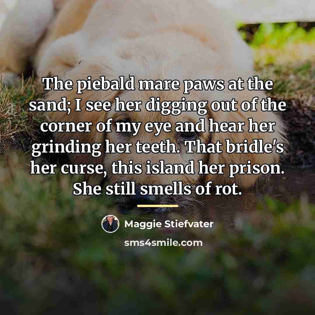 “The piebald mare paws at the sand; I see her…” quote by Maggie Stiefvater