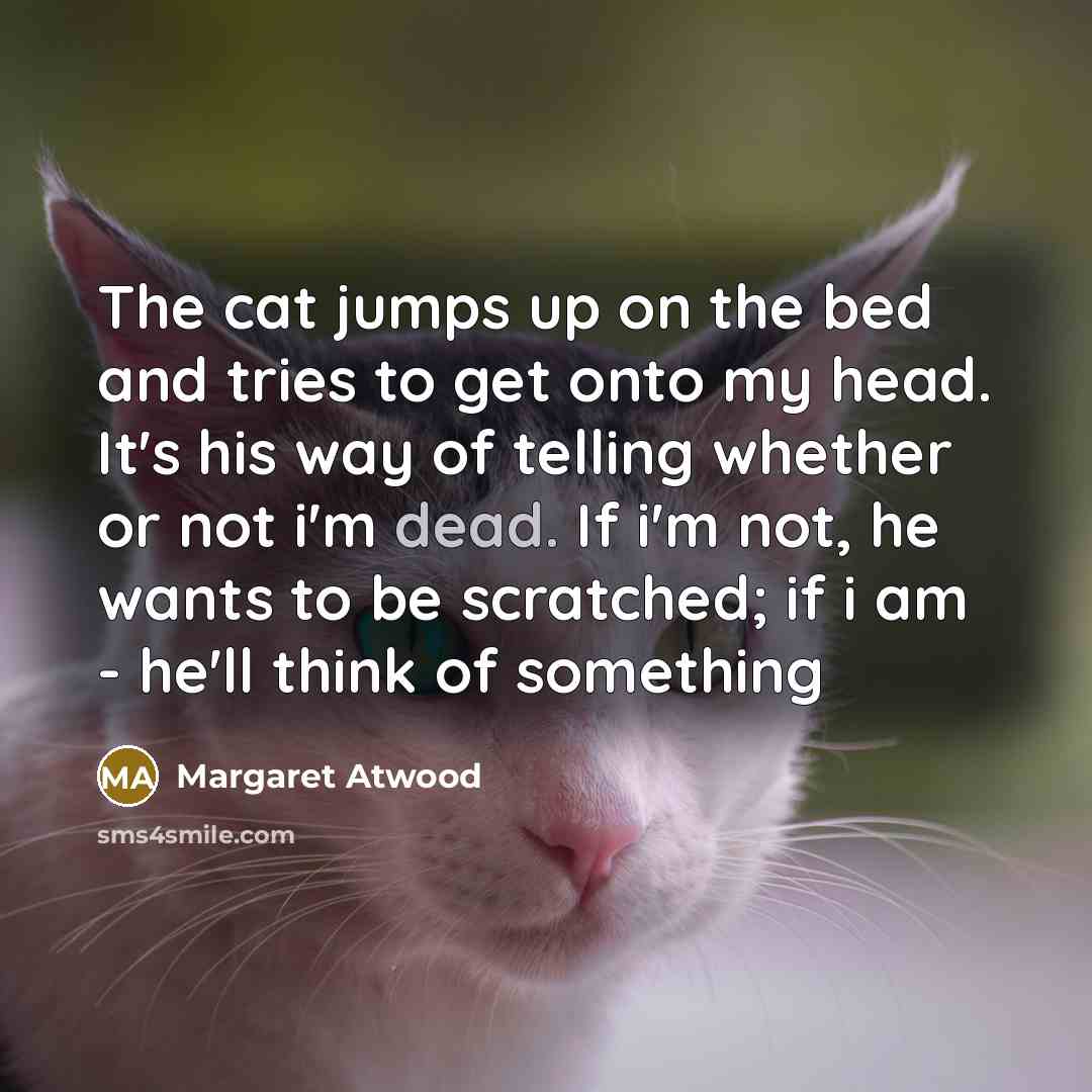 “The cat jumps up on the bed and tries to…” quote by Margaret Atwood