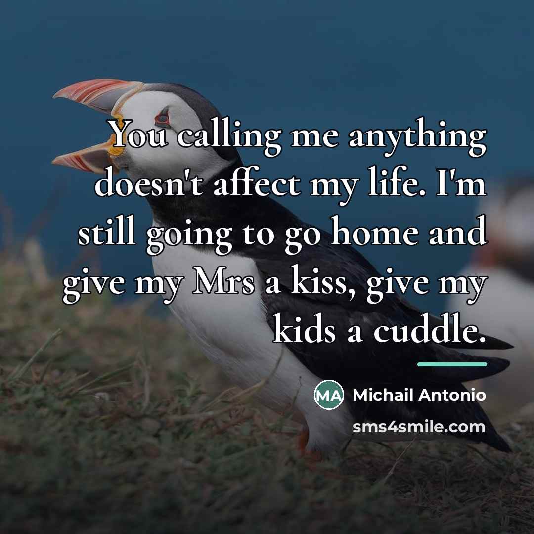 “You calling me anything doesn't affect my life. I'm still…” quote by Michail Antonio