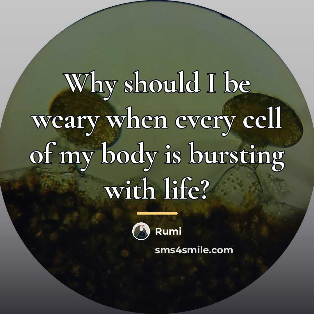 “Why should I be weary when every cell of my…” quote by Rumi