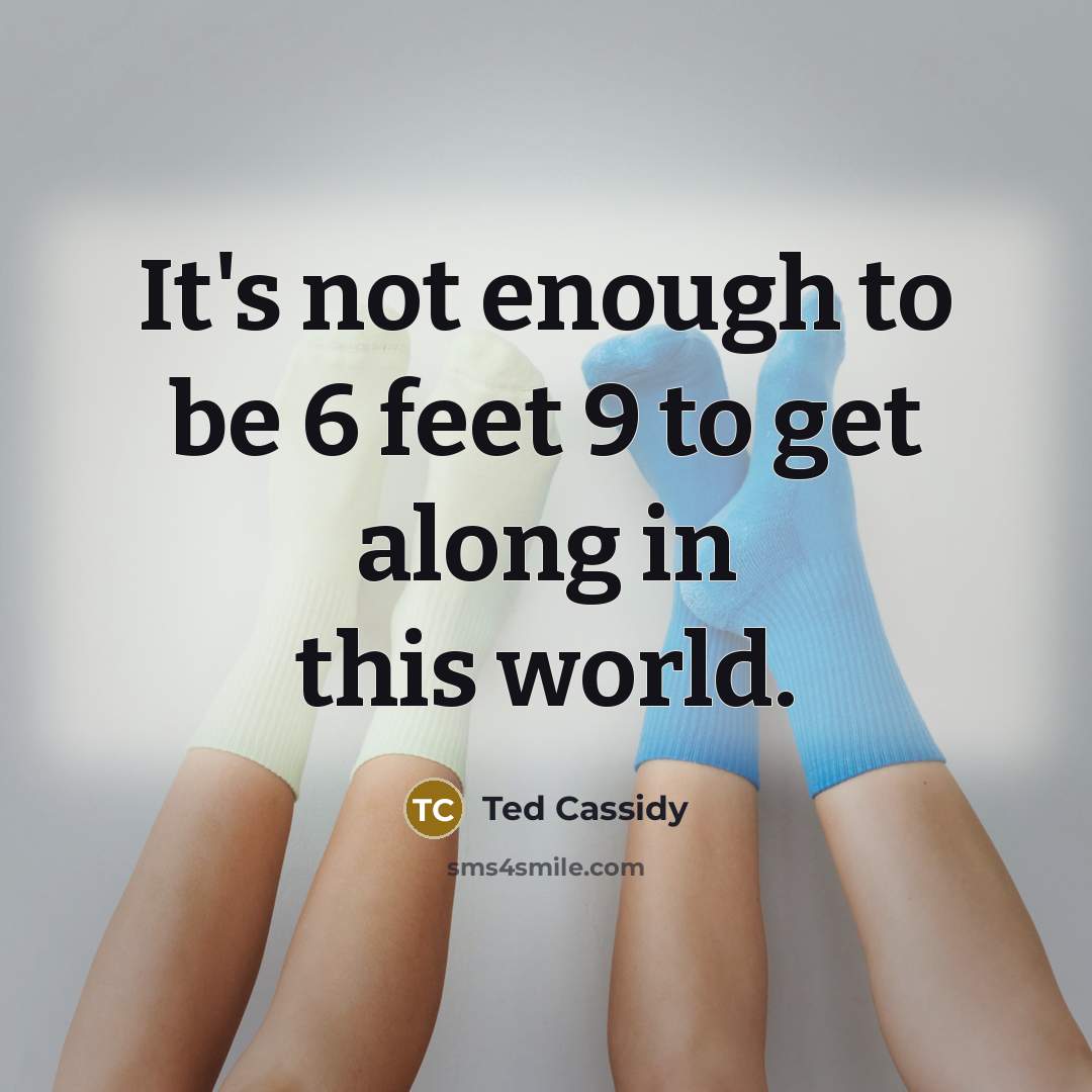 “It's not enough to be 6 feet 9 to get…” quote by Ted Cassidy