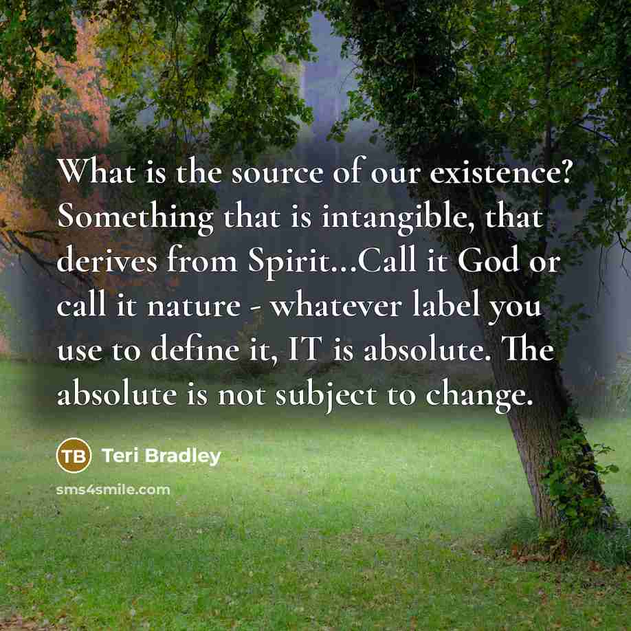 “What is the source of our existence? Something that is…” quote by Teri Bradley