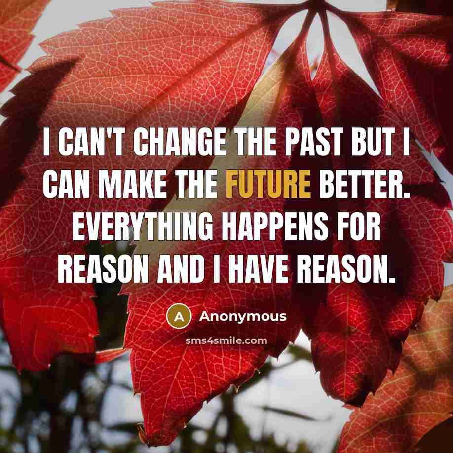 “I can't change the past but I can make the…” quote by Anonymous