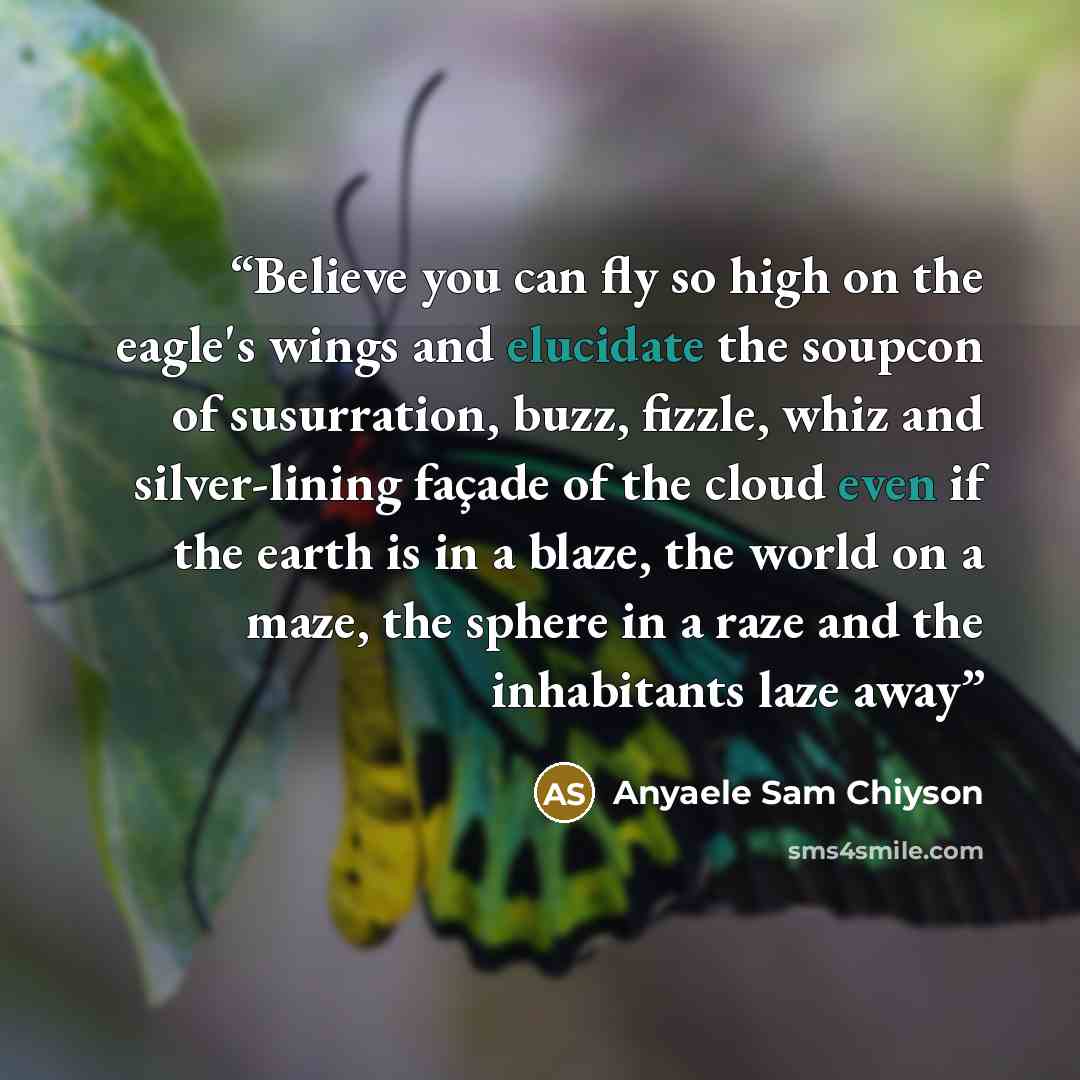 “Believe you can fly so high on the eagle's wings and elucidate the soupcon of susurration, buzz, fizzle, whiz and silver-lining façade of the cloud even if the earth is in a blaze, the world on a maze, the sphere in a raze and the inhabitants laze away” quote by Anyaele Sam Chiyson