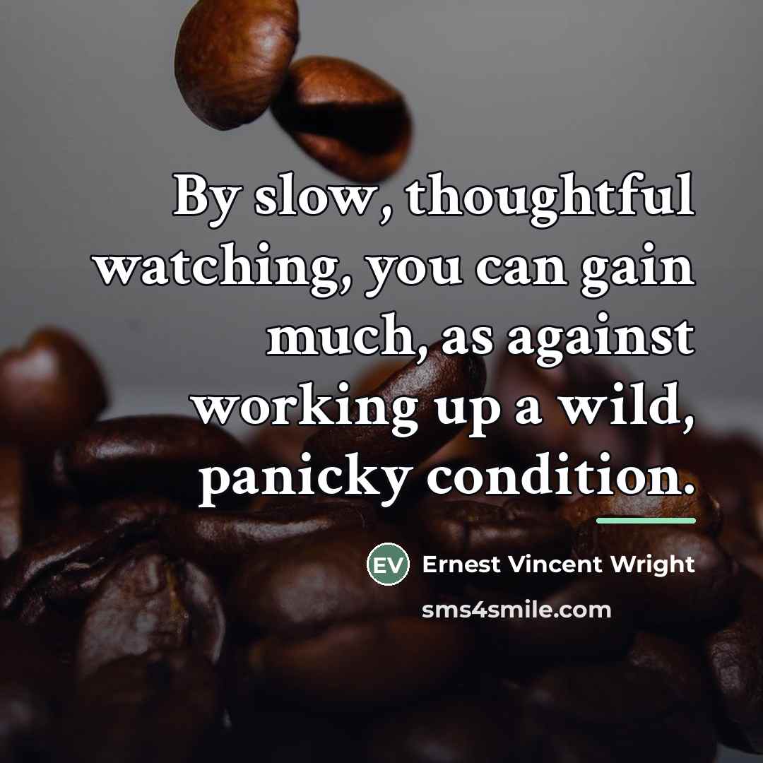 “By slow, thoughtful watching, you can gain much, as against…” quote by Ernest Vincent Wright
