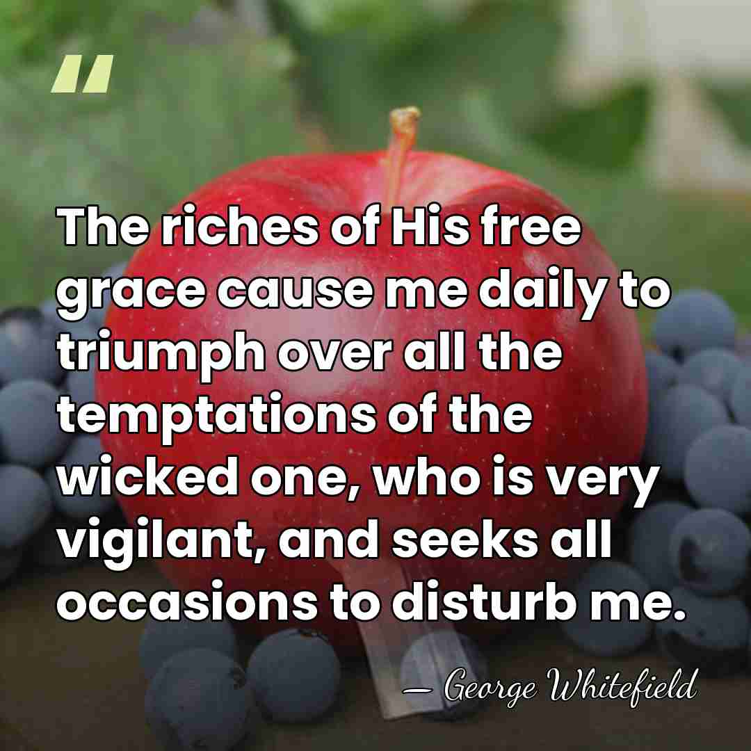 The riches of His free grace cause me daily to triumph over&hellip; - George Whitefield