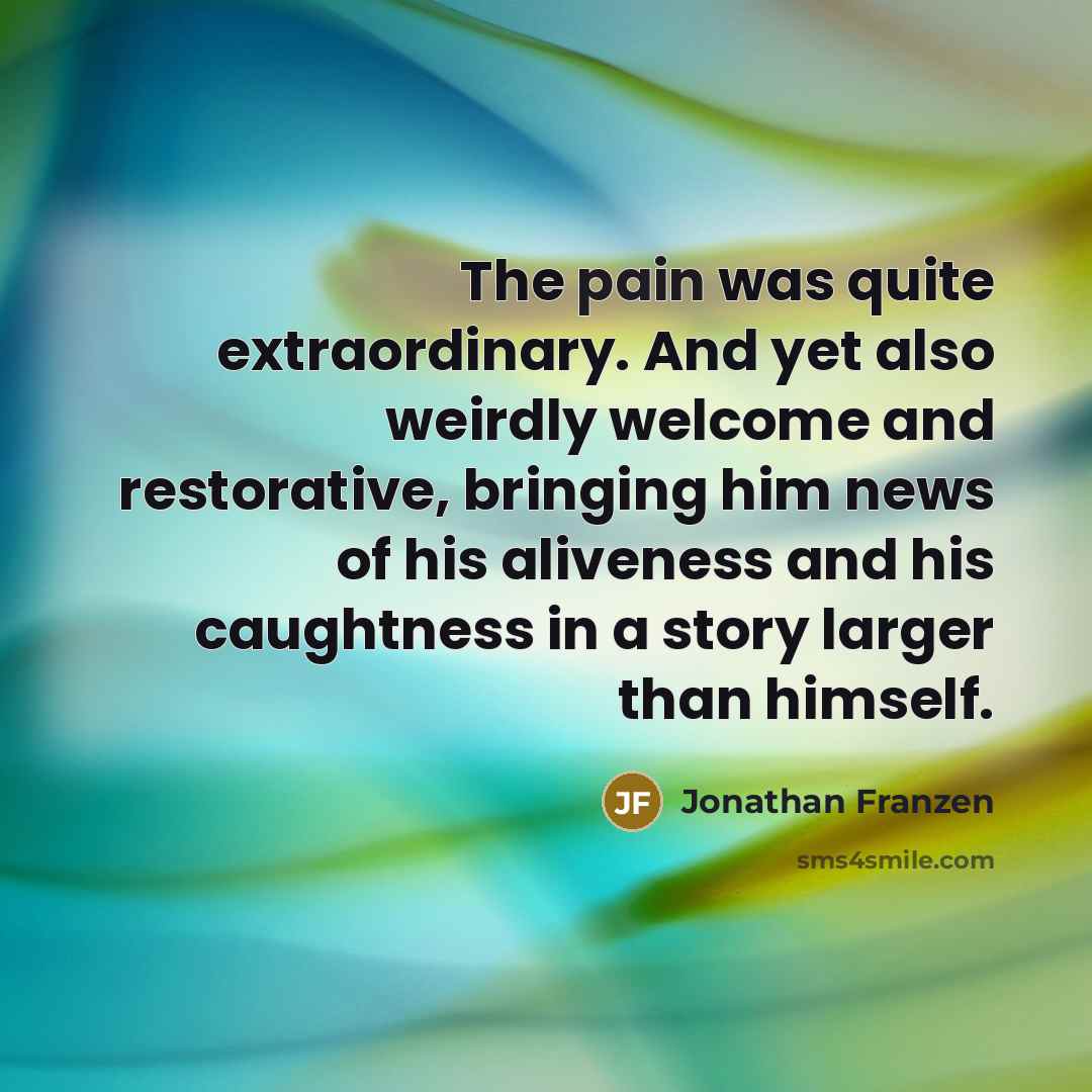 “The pain was quite extraordinary. And yet also weirdly welcome…” quote by Jonathan Franzen