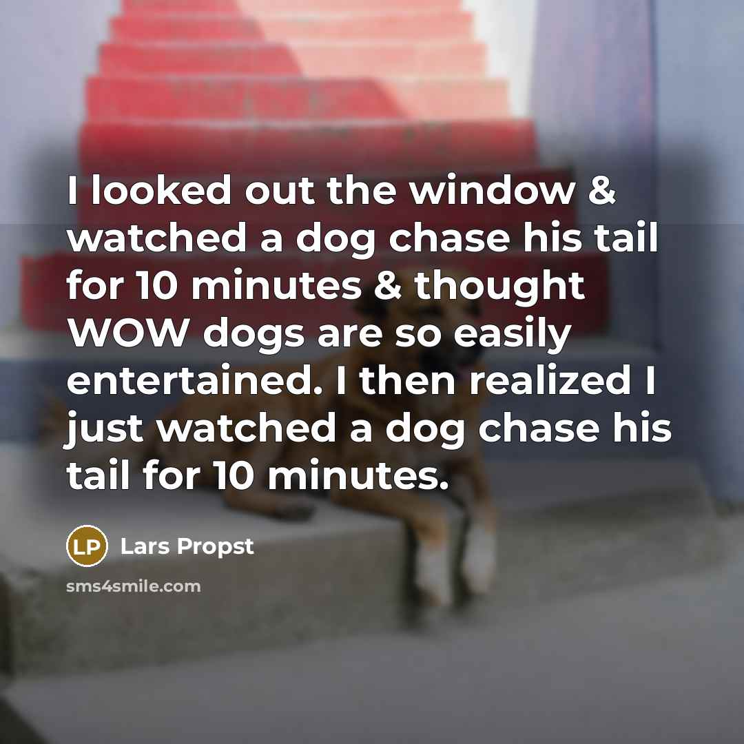 “I looked out the window & watched a dog chase…” quote by Lars Propst