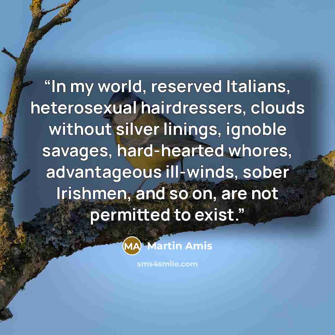 “In my world, reserved Italians, heterosexual hairdressers, clouds without silver linings, ignoble savages, hard-hearted whores, advantageous ill-winds, sober Irishmen, and so on, are not permitted to exist.” quote by Martin Amis