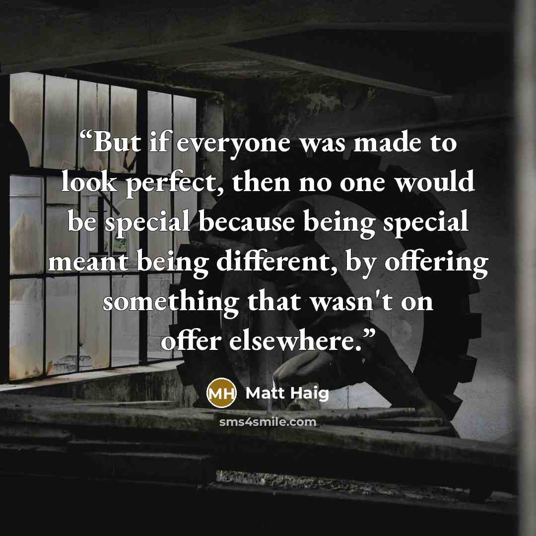 “But if everyone was made to look perfect, then no one would be special because being special meant being different, by offering something that wasn't on offer elsewhere.” quote by Matt Haig