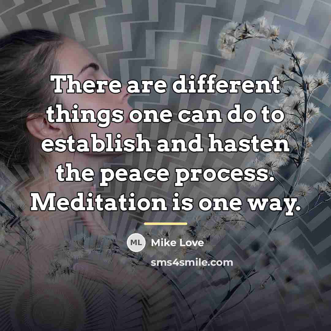“There are different things one can do to establish and…” quote by Mike Love