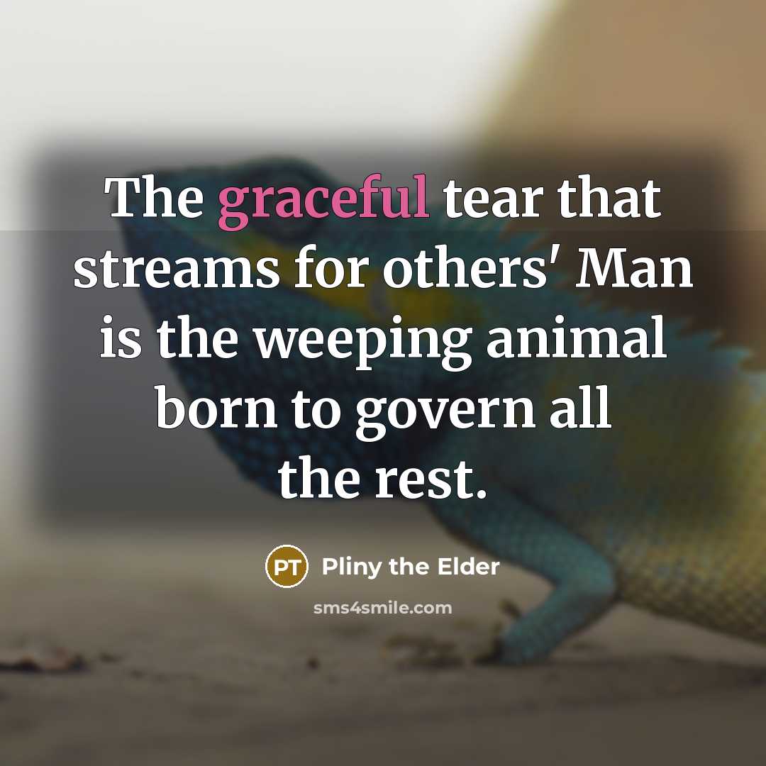 “The graceful tear that streams for others' Man is the…” quote by Pliny the Elder