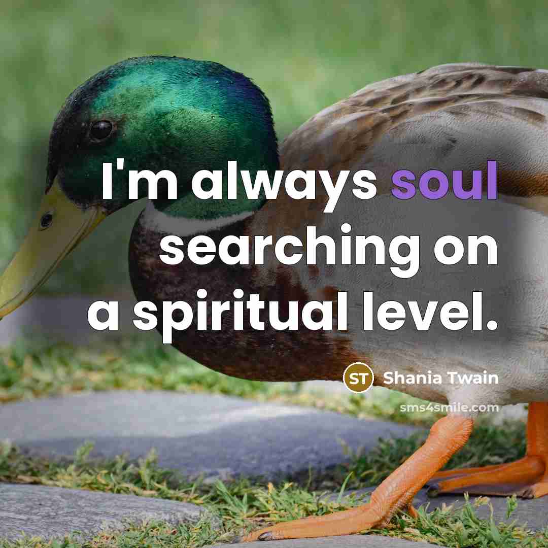 “I'm always soul searching on a spiritual level.…” quote by Shania Twain