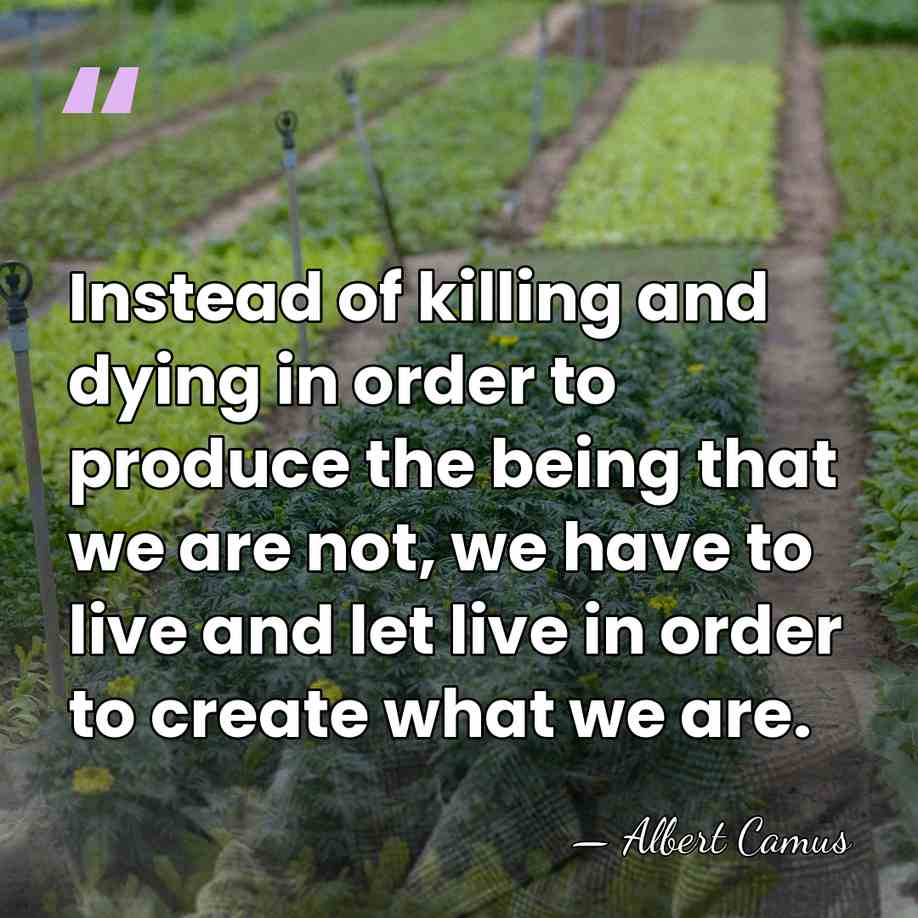 Instead of killing and dying in order to produce the being that&hellip; - Albert Camus