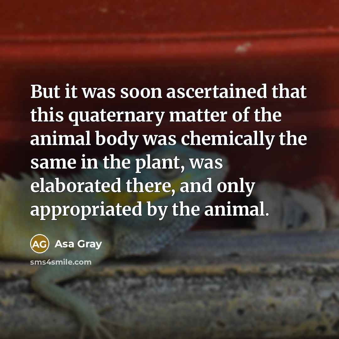 “But it was soon ascertained that this quaternary matter of…” quote by Asa Gray