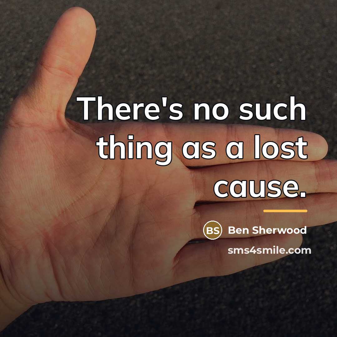 “There's no such thing as a lost cause.…” quote by Ben Sherwood
