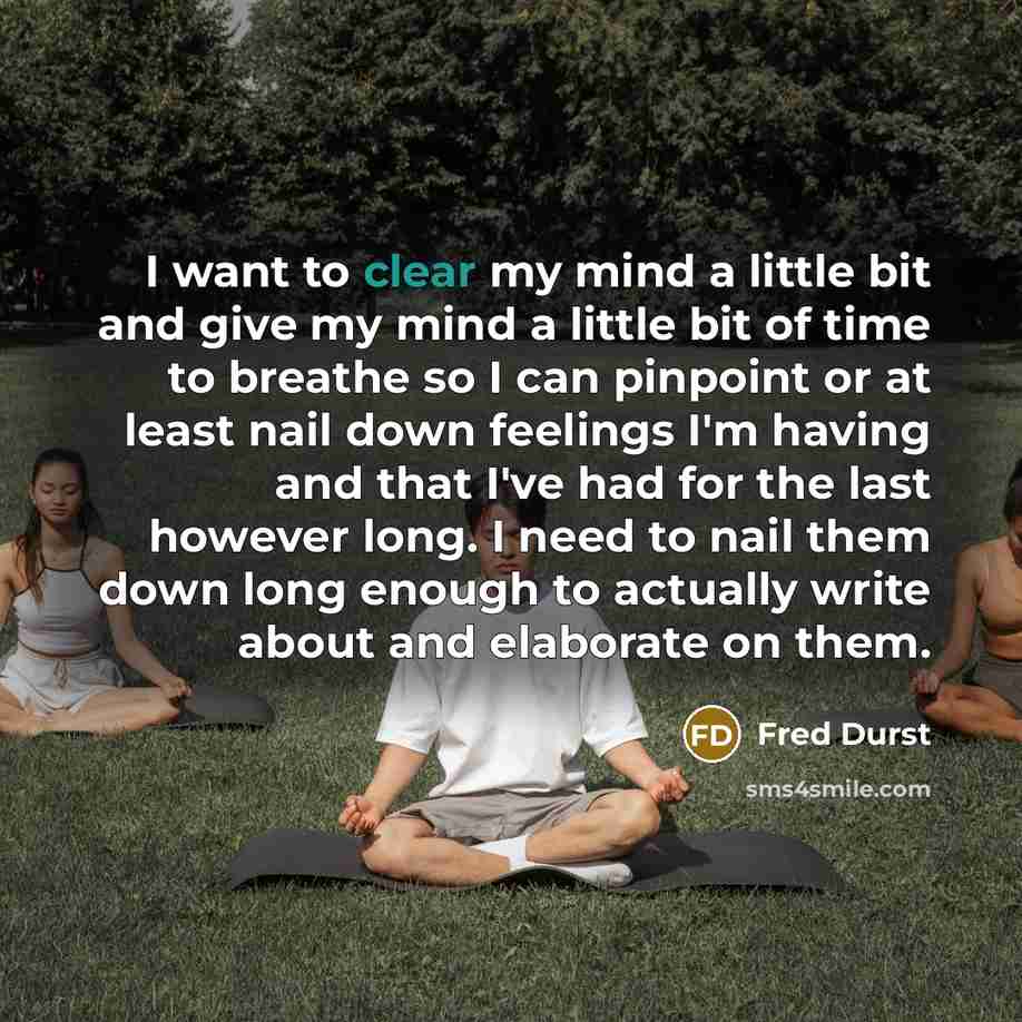“I want to clear my mind a little bit and…” quote by Fred Durst