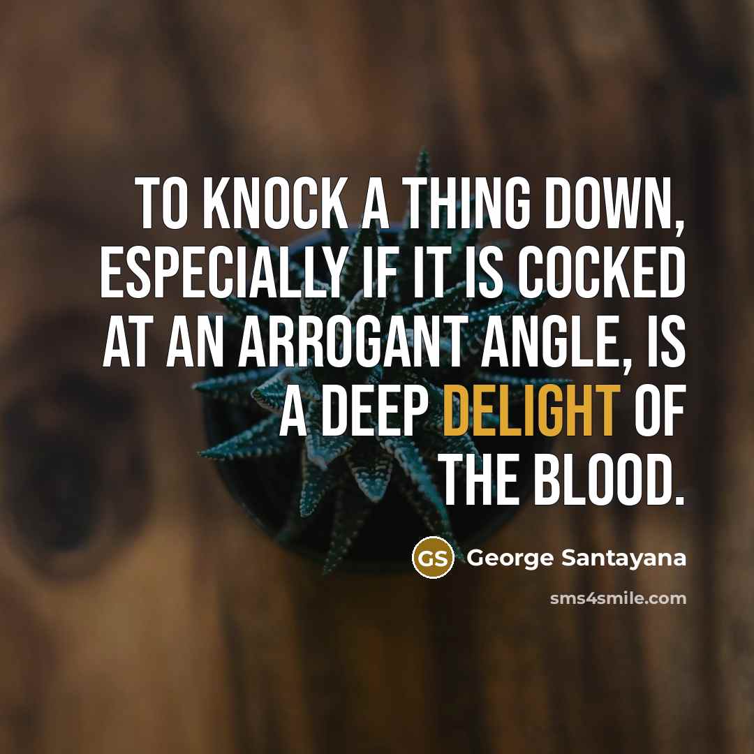 “To knock a thing down, especially if it is cocked…” quote by George Santayana