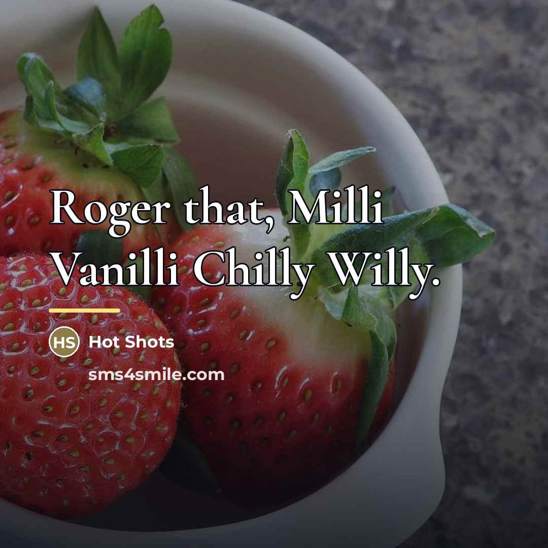“Roger that, Milli Vanilli Chilly Willy.…” quote by Hot Shots