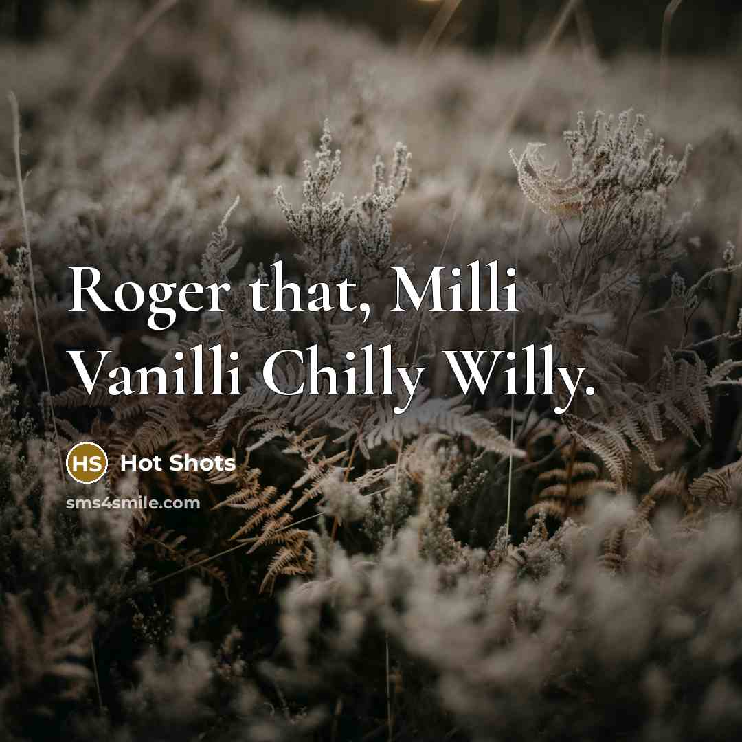 “Roger that, Milli Vanilli Chilly Willy.” quote by Hot Shots
