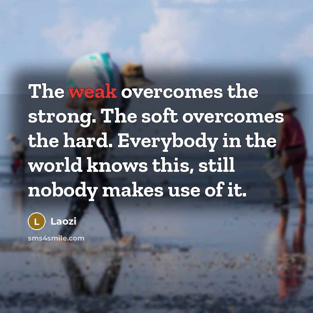 “The weak overcomes the strong. The soft overcomes the hard.…” quote by Laozi