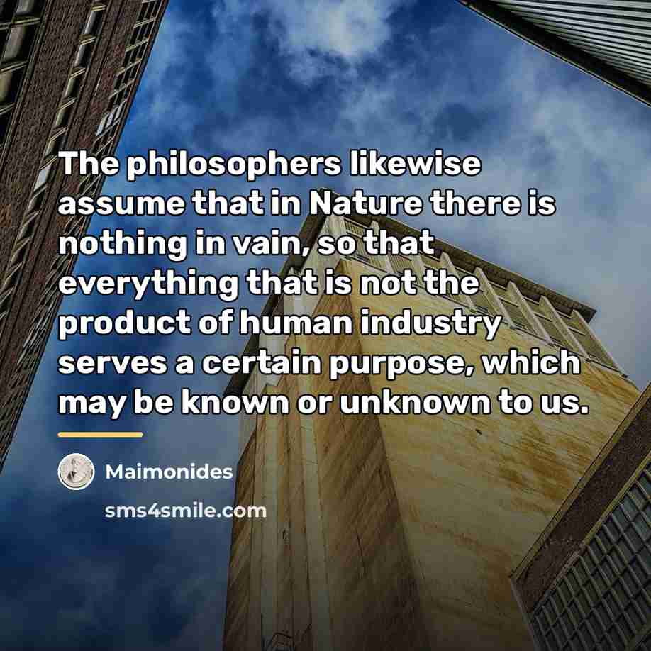 “The philosophers likewise assume that in Nature there is nothing…” quote by Maimonides