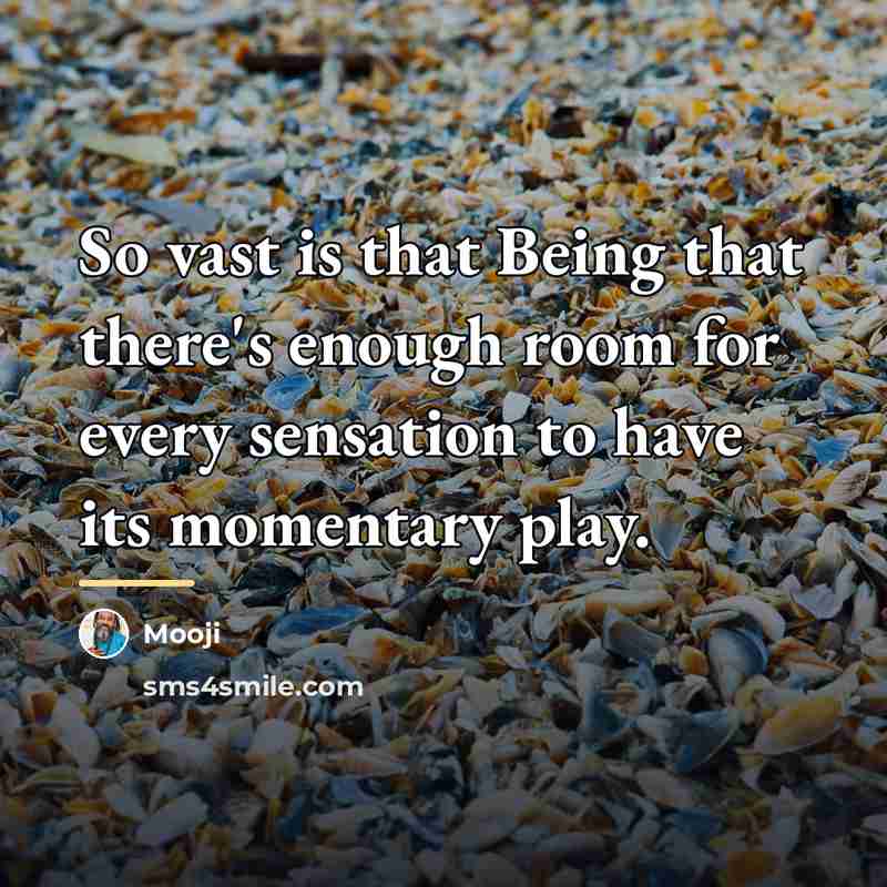 “So vast is that Being that there's enough room for…” quote by Mooji
