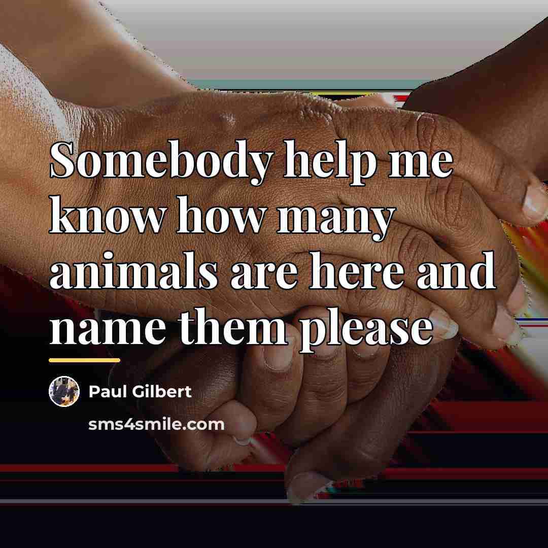 “Somebody help me know how many animals are here and…” quote by Paul Gilbert