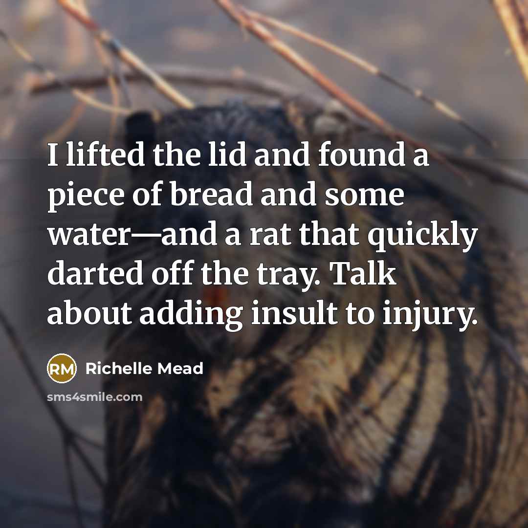 “I lifted the lid and found a piece of bread…” quote by Richelle Mead