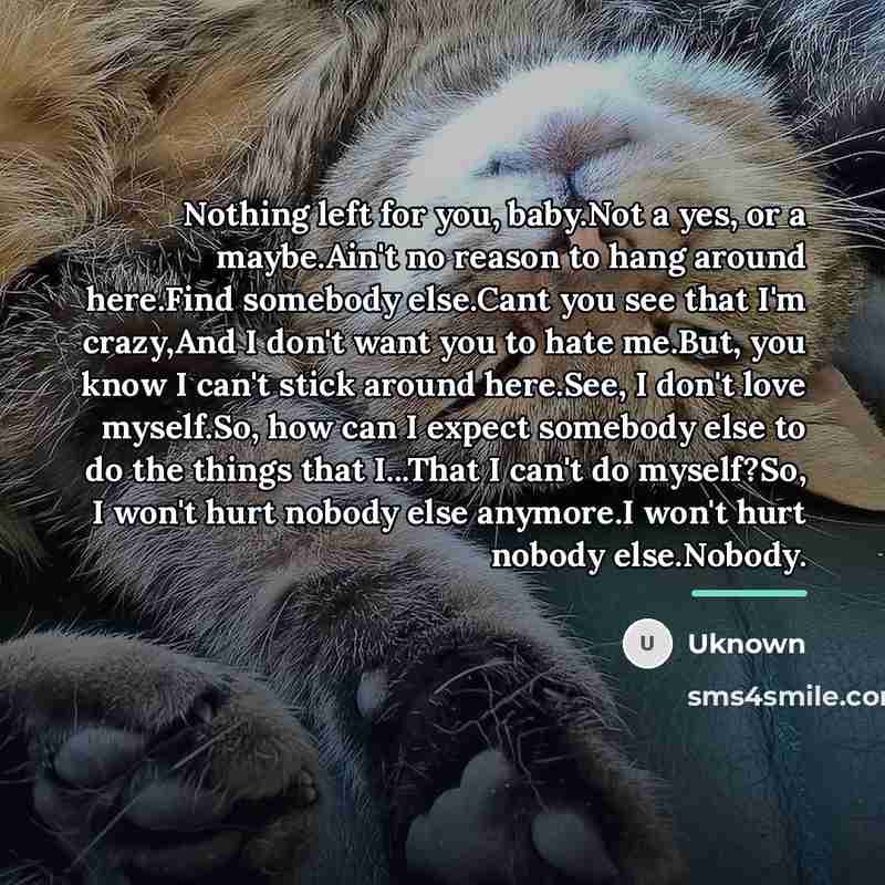 “Nothing left for you, baby.Not a yes, or a maybe.Ain't…” quote by Uknown