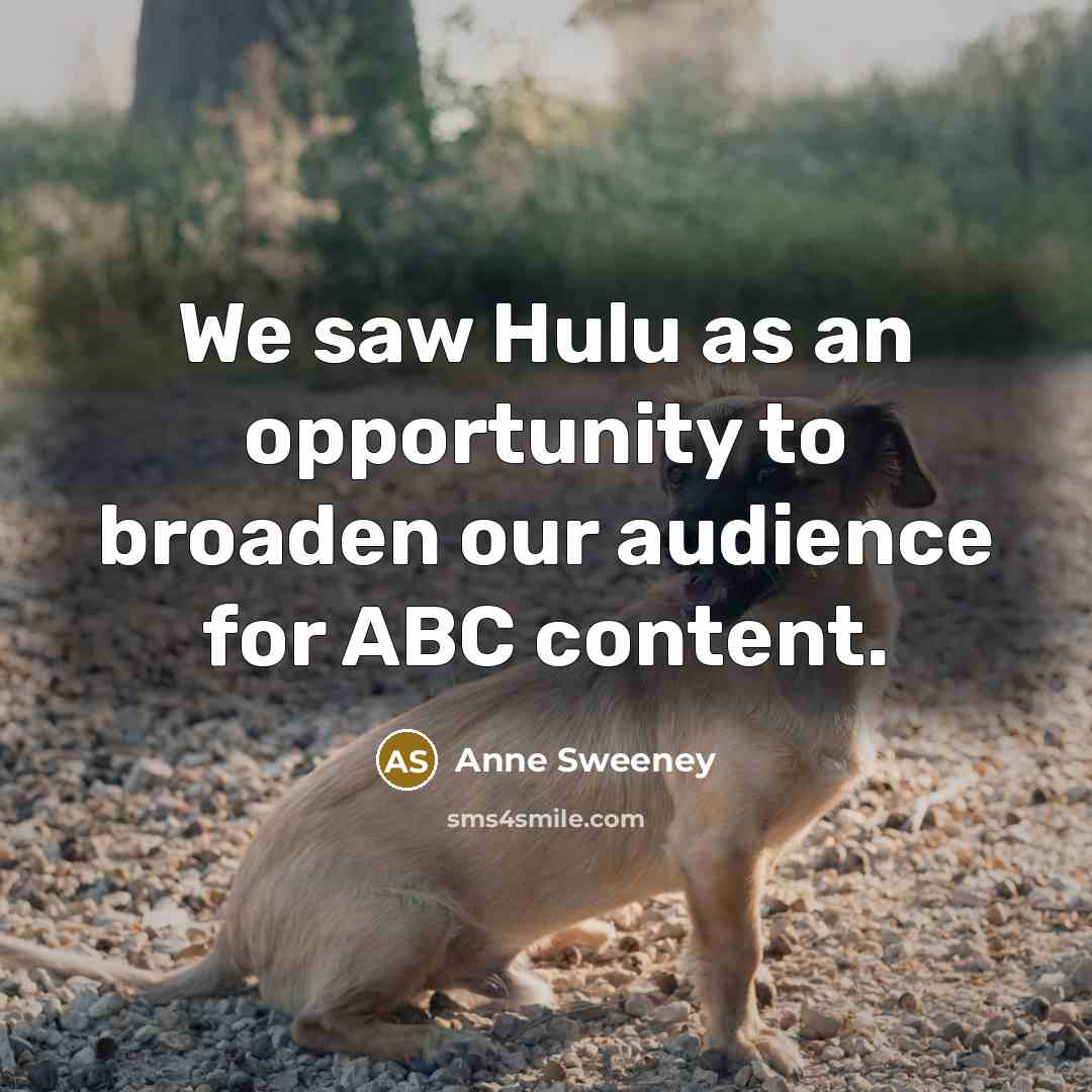 “We saw Hulu as an opportunity to broaden our audience…” quote by Anne Sweeney