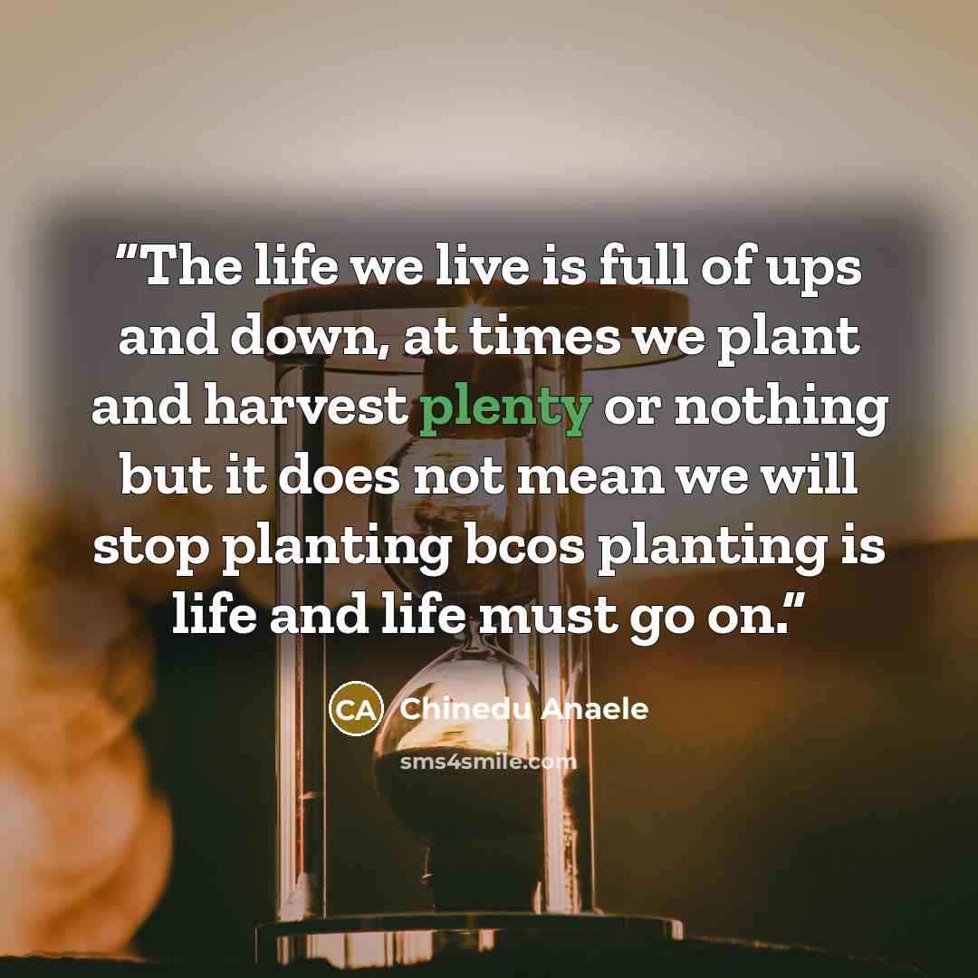 “The life we live is full of ups and down, at times we plant and harvest plenty or nothing but it does not mean we will stop planting bcos planting is life and life must go on.” quote by Chinedu Anaele