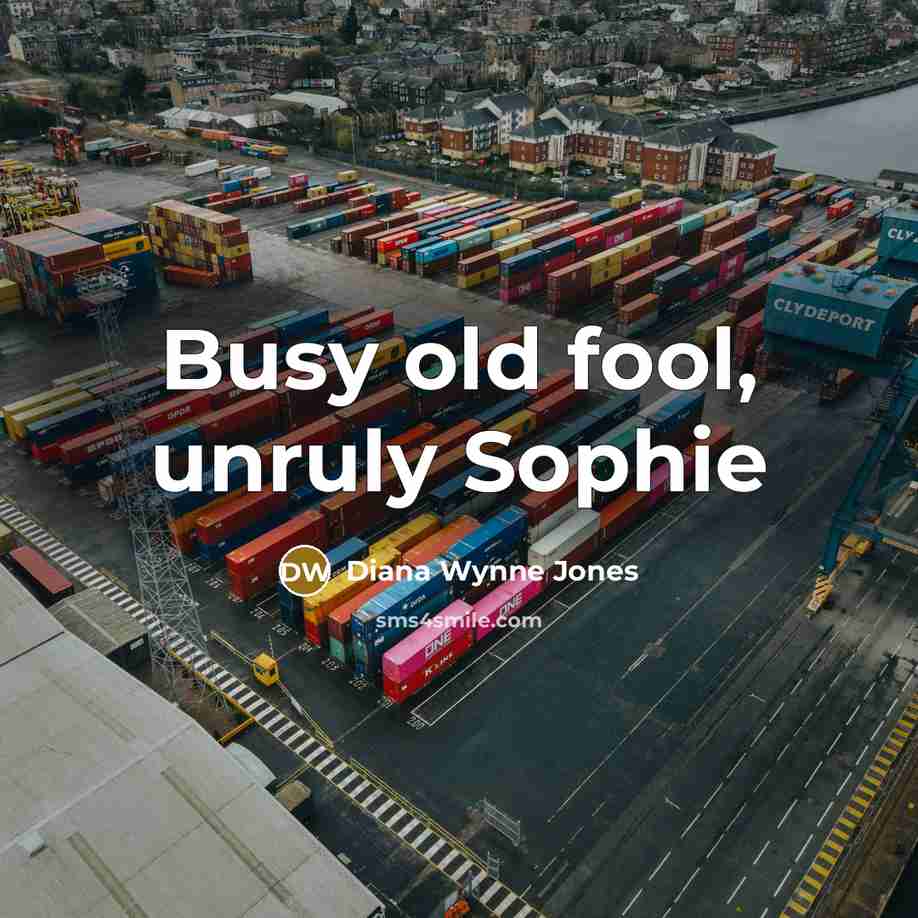 “Busy old fool, unruly Sophie…” quote by Diana Wynne Jones