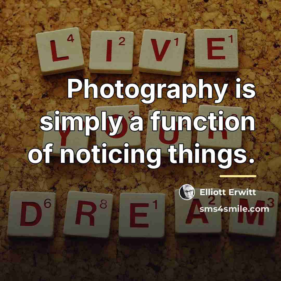 “Photography is simply a function of noticing things.…” quote by Elliott Erwitt