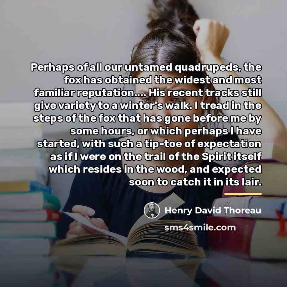 “Perhaps of all our untamed quadrupeds, the fox has obtained…” quote by Henry David Thoreau