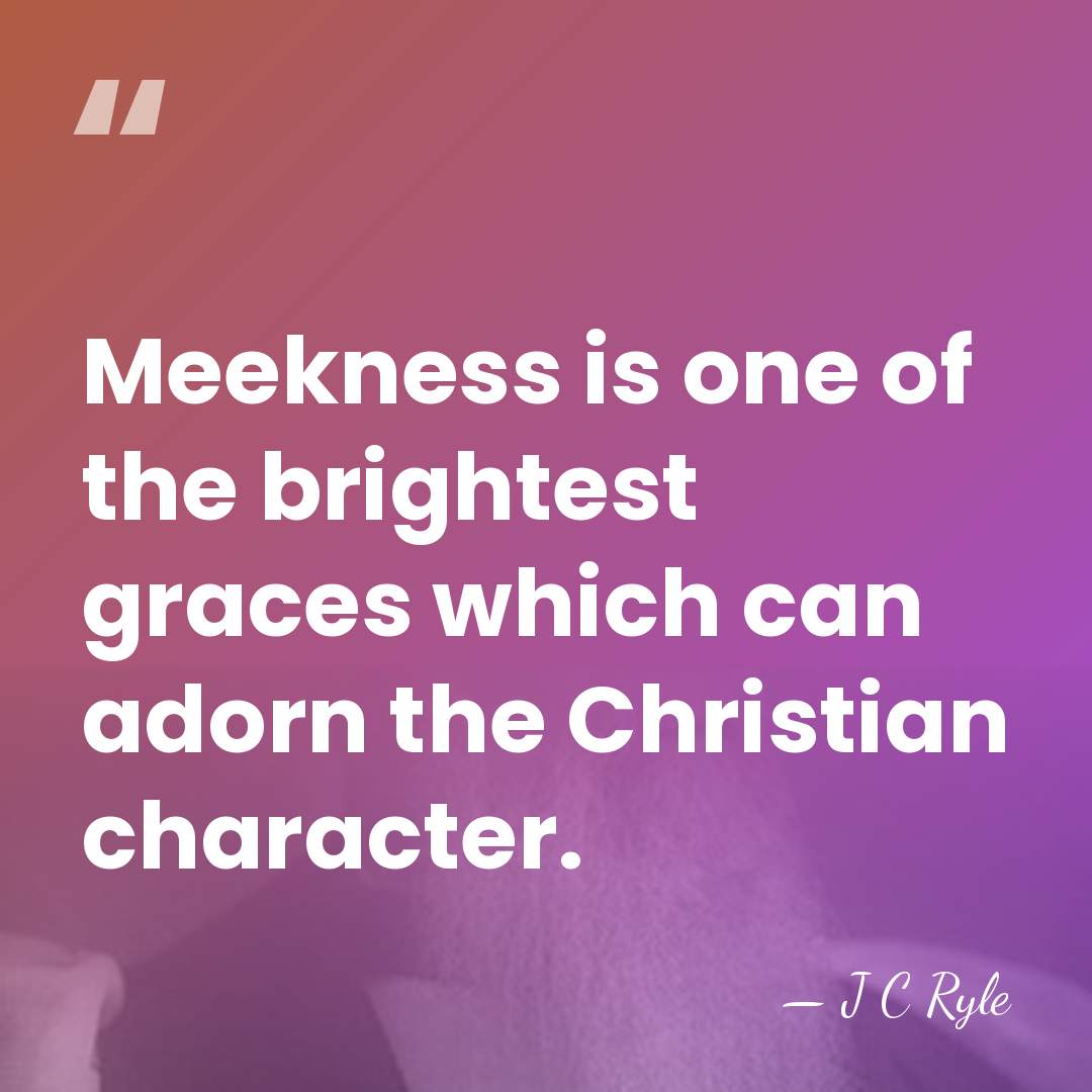 Meekness is one of the brightest graces which can adorn the Christian&hellip; - J C Ryle