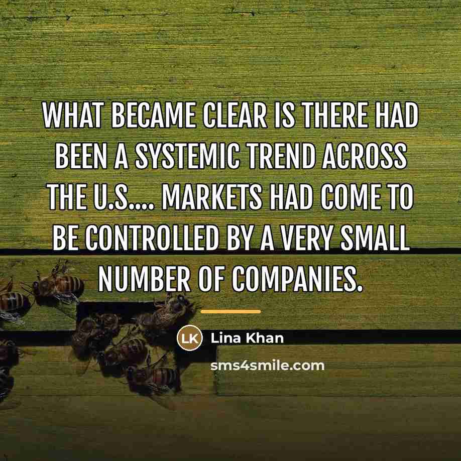 “What became clear is there had been a systemic trend…” quote by Lina Khan
