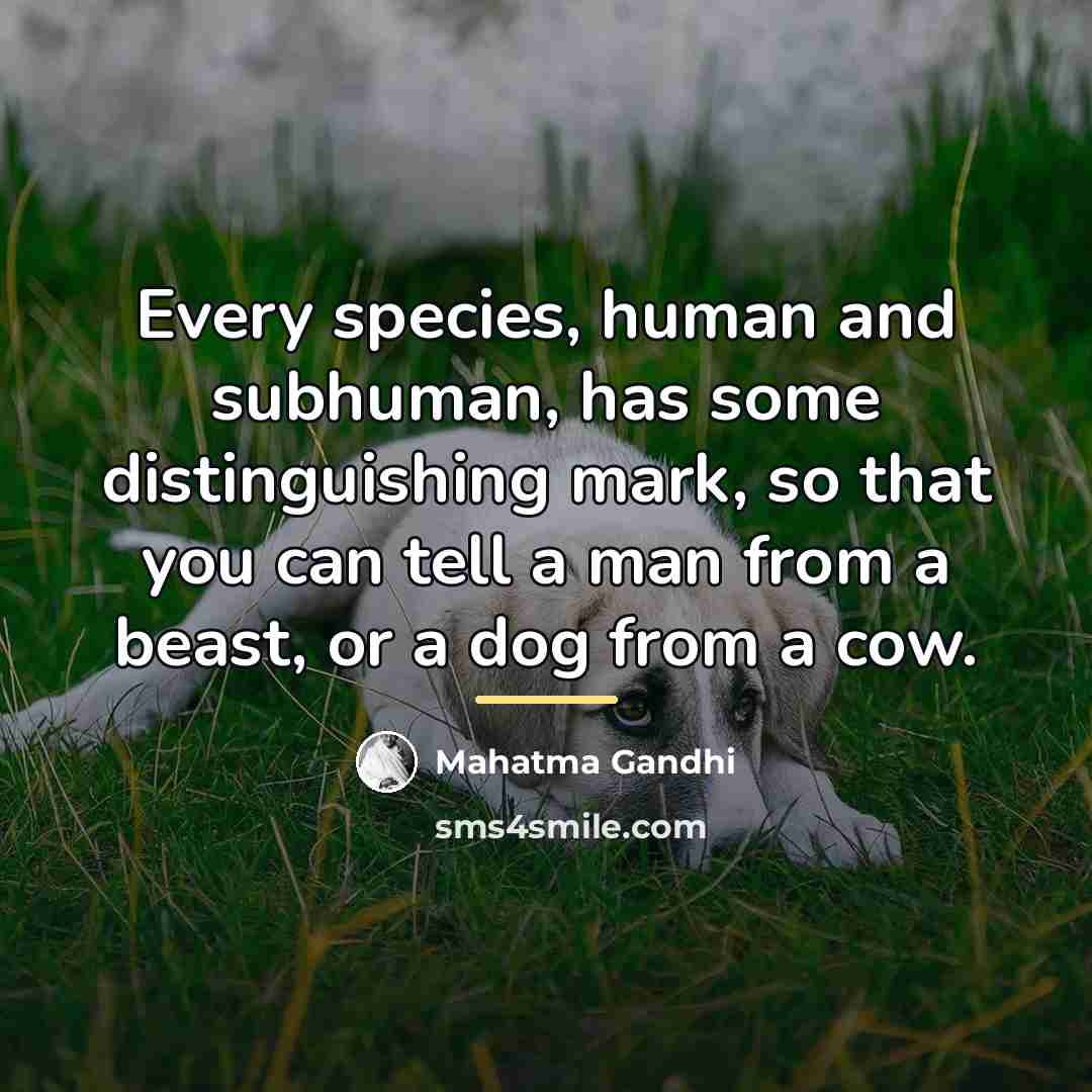 “Every species, human and subhuman, has some distinguishing mark, so…” quote by Mahatma Gandhi
